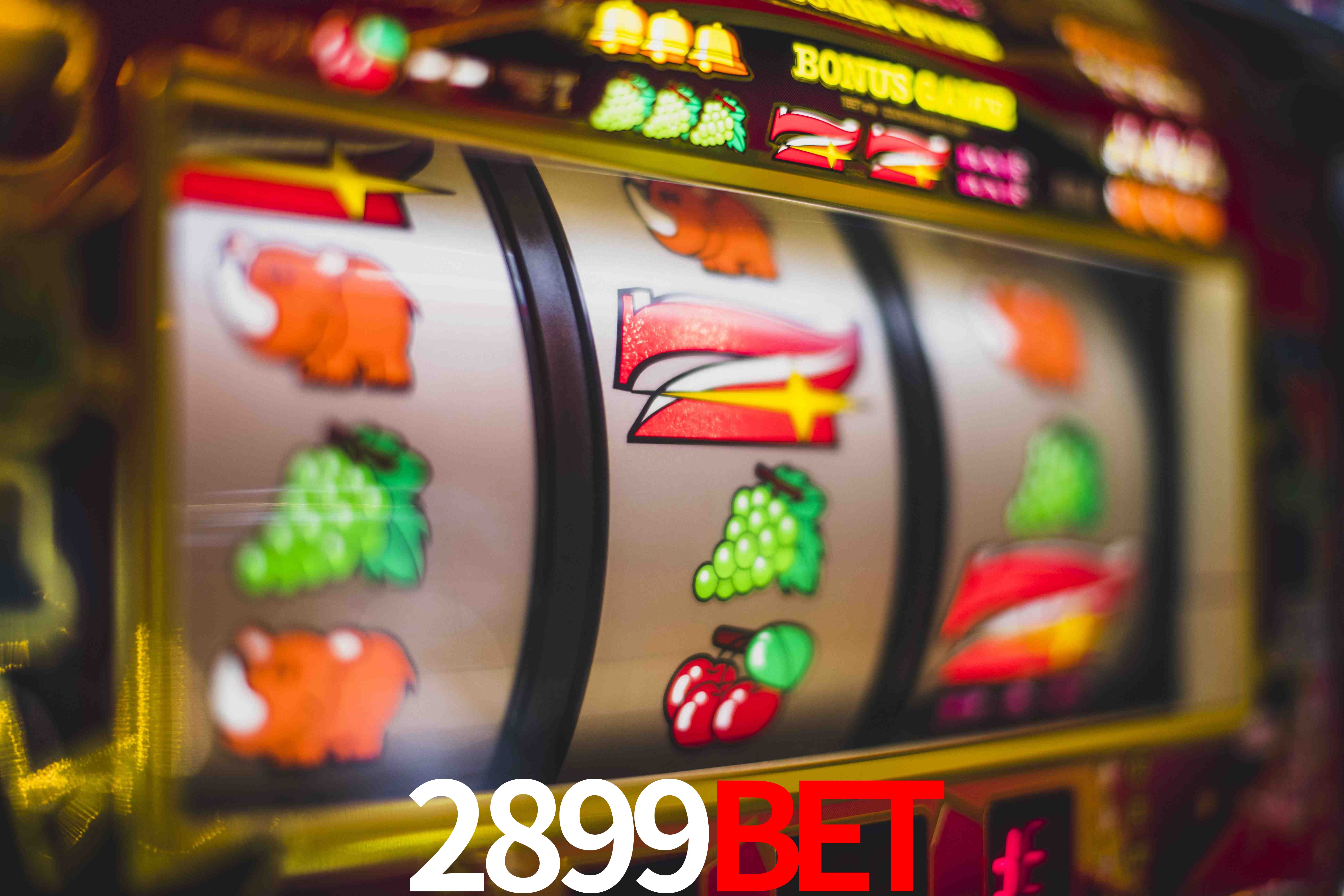 Live Casino 2899bet
